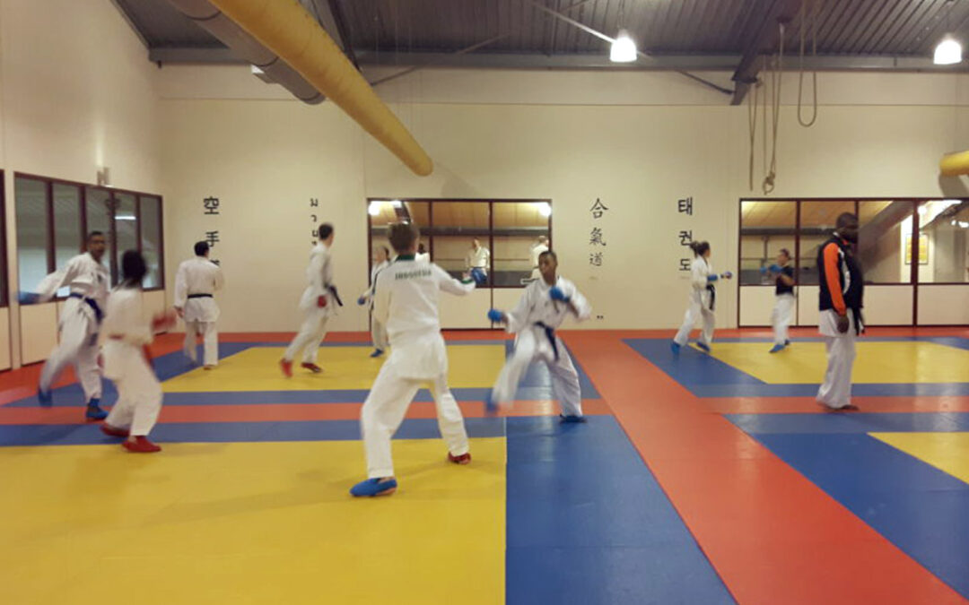 Mentale training voor de EK ploeg karate