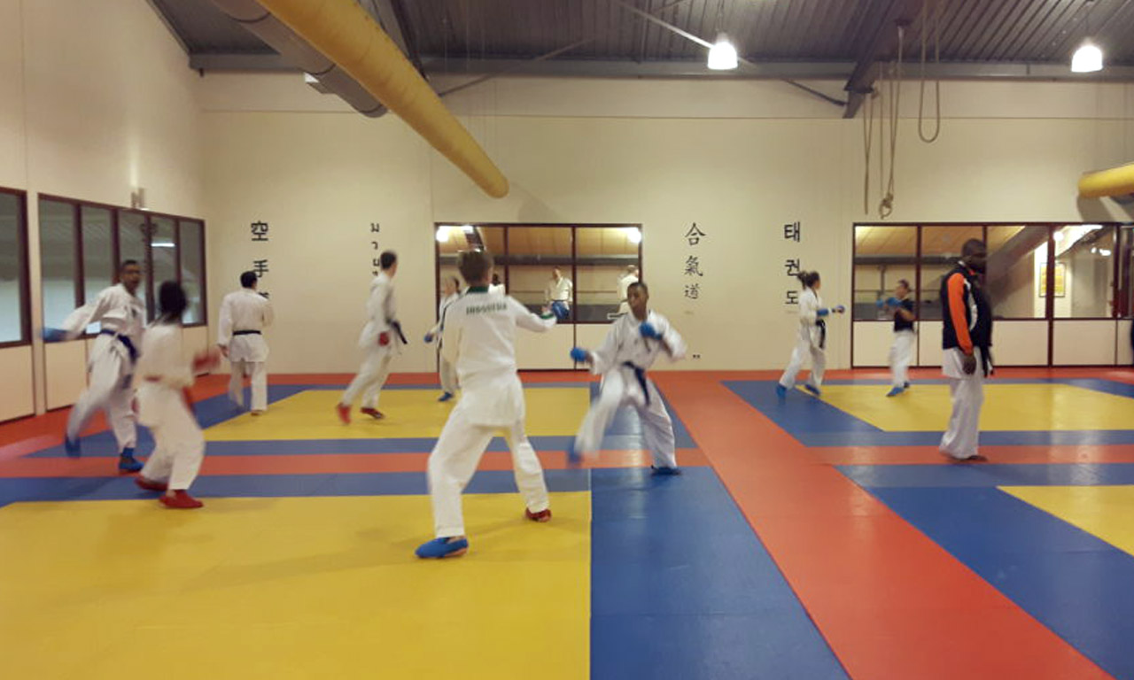 Mentale training voor de EK ploeg karate - Flow Mentale Training
