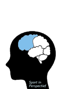 Leerlijn Prestatiegedrag mentale screening Sport in Perspectief Flow door Mentale Training